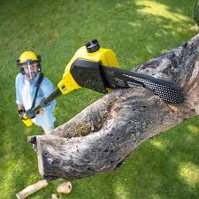 Trusted Midland, PA Tree Removal and Landscaping Services Experts